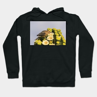 Male Gila Woodpecker Feeding On Cactus Blossom Funny Hoodie